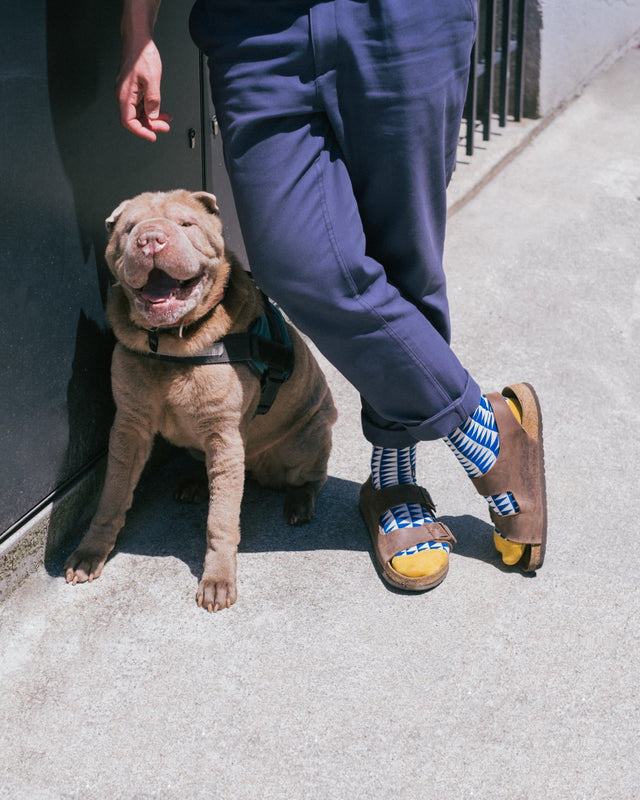 On a sunny day, a man wearing blue trousers, sandals, and a pair of blue geometric socks with yellow toe caps stands against a wall, accompanied by is dog.